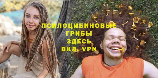 прущие крисы Гусиноозёрск