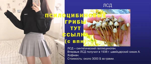 ешки Гусев
