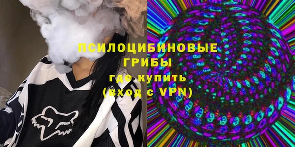 ГАЛЛЮЦИНОГЕННЫЕ ГРИБЫ Нягань