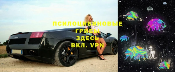 ALPHA-PVP Гусь-Хрустальный
