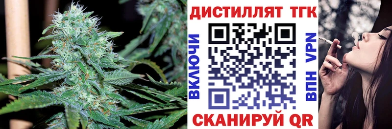 купить наркотики сайты  Новоржев  ТГК гашишное масло 