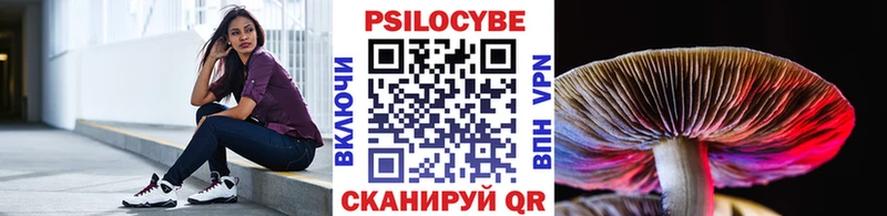 Псилоцибиновые грибы прущие грибы  Новоржев 